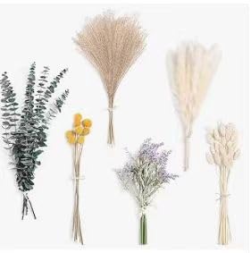 Flores secas para decoracion en paquete de 40g miniatura 4