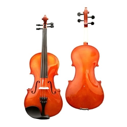 ̎oCI 4/4 yP[XƋ|t(Red 1/2)