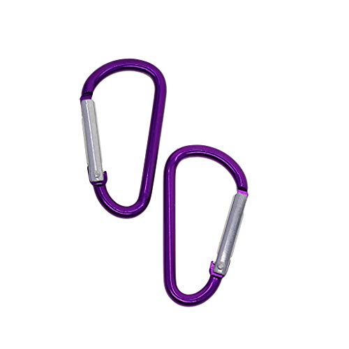 F Fityle 20pcs Pequeno Mosquetão D Anel De Escalada Snap Gancho Camping Chaveiro Lote Cadeia