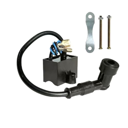 Bobine d'allumage pour moteur 2 temps 49cc à 80cc de vélo motorisé