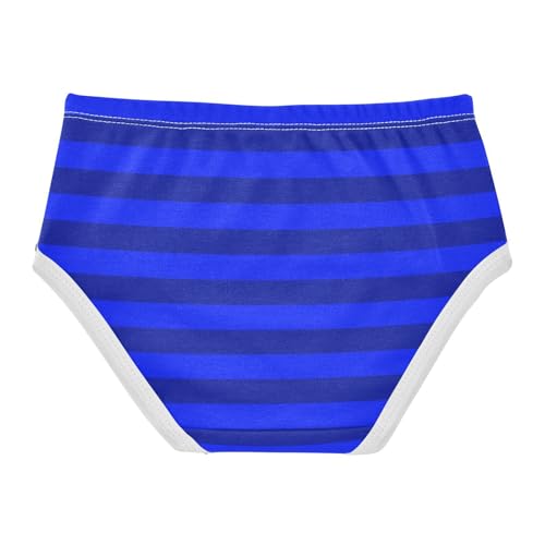 Navy Gray Stripe Toddler Girls's Underwear 2T2