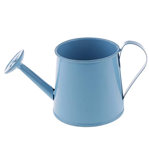 Mini Multi-Color Iron Metal Watering Can Iron Pot Flower Pot Planter Home Decorations