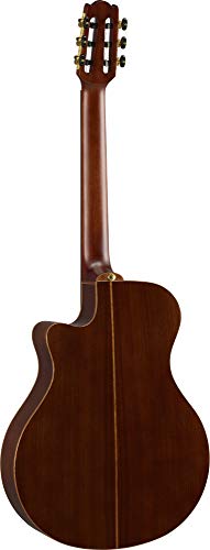 Yamaha NTX5 NT Cutaway Acoustic-Electric Nylon-String Classical Guitar With Reinforced Carrying Bag , Natural - Image 4