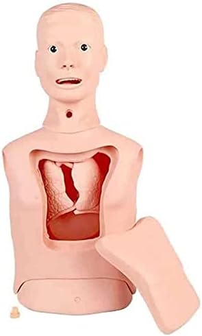 FOCCAR Intubation Gastric Tube Training Manikin Advanced Nasogastric Tube and Trachea Care Model Gastric Lavage Tracheostomy Model for Nursing Teaching