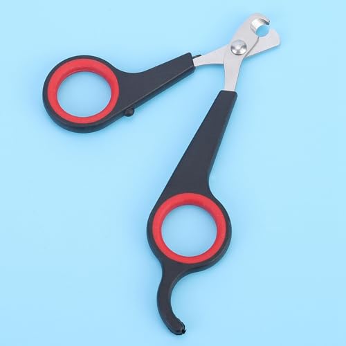BROLEO Tijeras para Uñas de Loros, Tijeras para Uñas de Animales, Acero Inoxidable Macizo de 4,6 X 2,4 X 0,2 Pulgadas para el Hogar de Loros