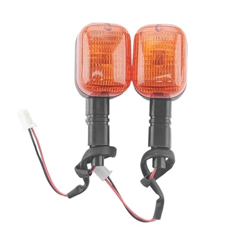 Clignotant Moto Haute Visibilité pour BMW F650 GS CS