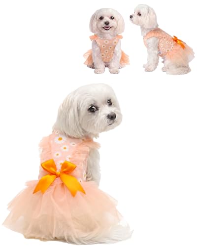 Image of CuteBone Cream Daisy Pet Dress for Small Dogs, Cats - Double-Layer Ruffled Skirt - Orange Satin Bow - Spring Daily, Garden Dress