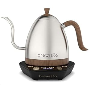 Brewista Artisan Stainless Steel Gooseneck Spout Temperature Control Slow Coffee Barista Electric Kettle (1.0 L)