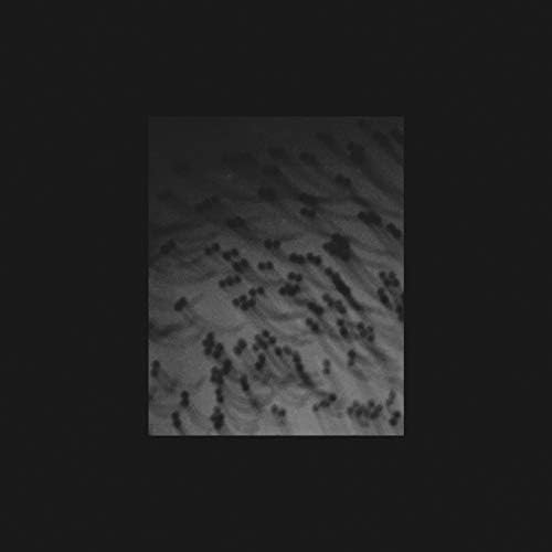 邦楽 HOUJOUE MERZBOW Amazon MusicでMerzbowのMonoakumaを再生する