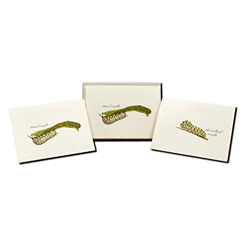 Image of Earth Sky + Water - Caterpillar Assortment Notecard Set - 8 Blank Cards with Envelopes (4 each of 2 styles)