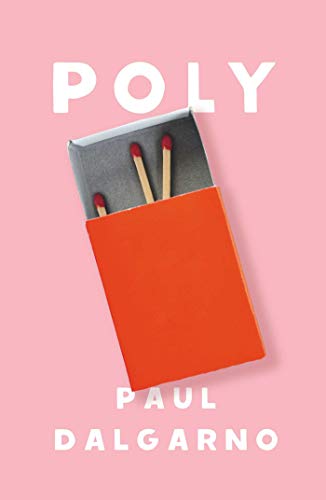Poly: A novel view 2