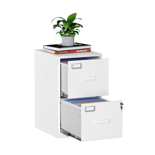 Image of MIIIKO 2 Drawer Filing Cabinet with Lock, Metal Vertical File Cabinets for Home Office, Lockable File Storage Cabinets Under Desk, Letter /A4 File Folders Storage（White-Assembly Required