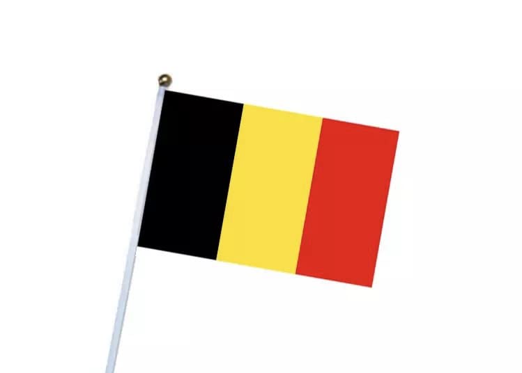 Hand Flag 20 X 30 cm Polyester - Durable Long Lasting For Outdoor And Indoor Use - World Cup 2022 Fans