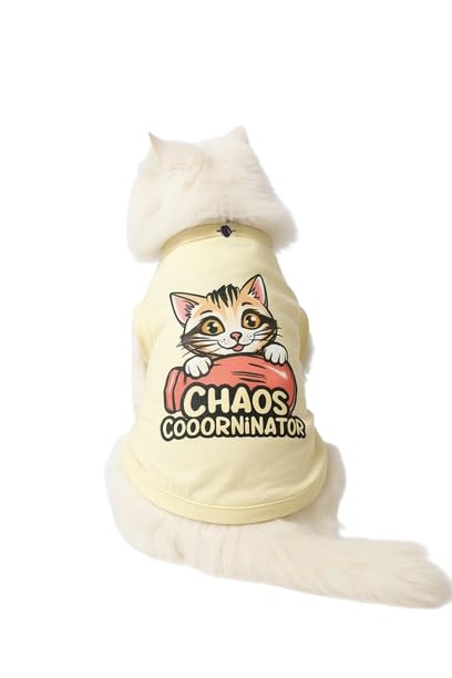 Image of Thunder Tails Printed Cat T-Shirt for Small to Large Cats & Kittens | Lightweight Breathable Cotton Pet Apparel | Cute & Stylish, Comfortable Round Neck Cat Clothes (M, Butter Yellow)