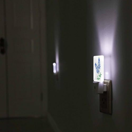 Image of Led Night Light,Blue Texas Watercolor Bluebonnet Led Night Light Plug Into Wall with Dusk to Dawn Light Sensor White Energy Efficient Nightlight for Bedroom Hallway Living Room Kitchen