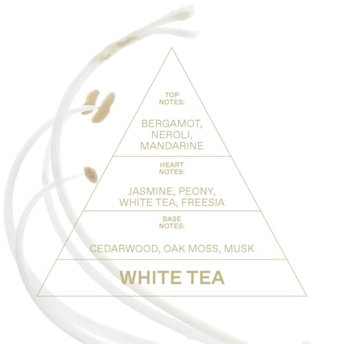Image of KORRES Mini Eau De Toilette, White Tea Fragrance, Unisex Perfume 0.34 Fl Oz | With Bergamot, Neroli, Mandarin Zest, Dewy White Tea Leaves And Soft Cedarwood, Light Floral Green Scent For Women And Men
