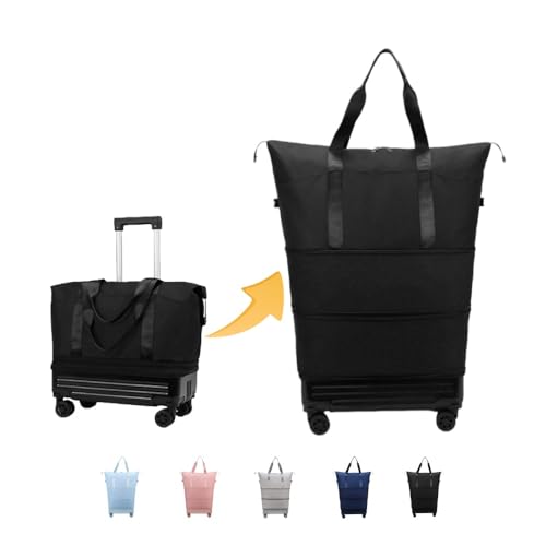 [LIVIA] L[obO gx @\ LX^[ e É LX^[t g[  v ܂݉\ eʊg X[cP[X y JWA s o (ubN)