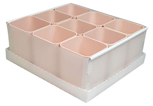 Protea 2194.G.0004, Caixa Organizadora de Objetos com 9 Porta Objetos, Rosa
