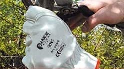 6 paia GUANTO DA LAVORO IN PELLE TG 10-6 PAIA