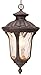 Livex Lighting 7654-58 Oxford 1 Light Imperial Bronze Cast Aluminum Hanging Lantern with Light Amber Water Glass