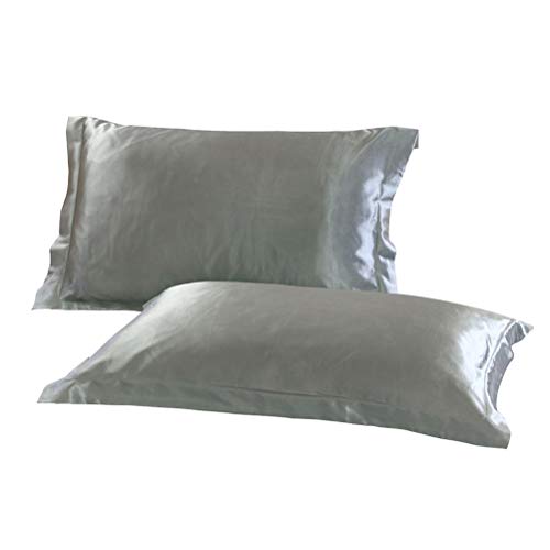 EURhine Lot de 2 taies d'oreiller en soie satiné - Taille standard (76,2 x 50,8 cm, argenté) Cover