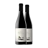 Viña Mayor El Secreto Tempranillo Ribera del Duero 75 cl Vino tinto (Caja de 2 Botellas de 75 cl)