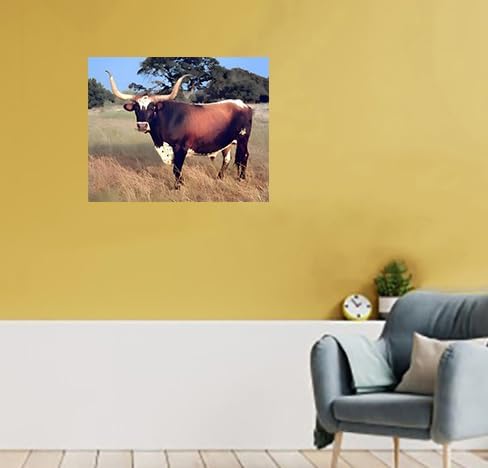 Miniatura 6 de Póster de Texas Longhorn vaca, novillo, granja, naturaleza, animales, paisaje, decoración de pared, impresión artística (16 x 20 pulgadas)