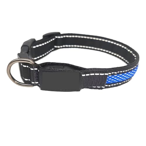Collier LED chien bleu anti-perte réglable 30-40cm avec laisse - 2