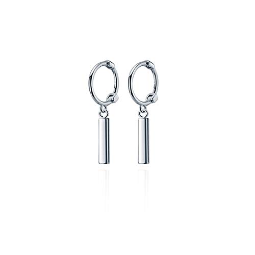 HHRFCS Pendientes de aro de Plata de Ley 925 para Mujer, Pendientes de Barra pequeña