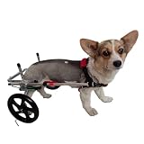 Generisch Verstellbarer Hunderollstuhl für kleine bis große Haustiere – Hinterbeinstütze für behinderte Hunde und Katzen – Corgi, Teddy und mehr – Extra breites XS-Design für einfache Mobilität