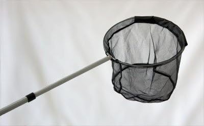 Pond Fish Net with Telescopic Handle Size: 12"