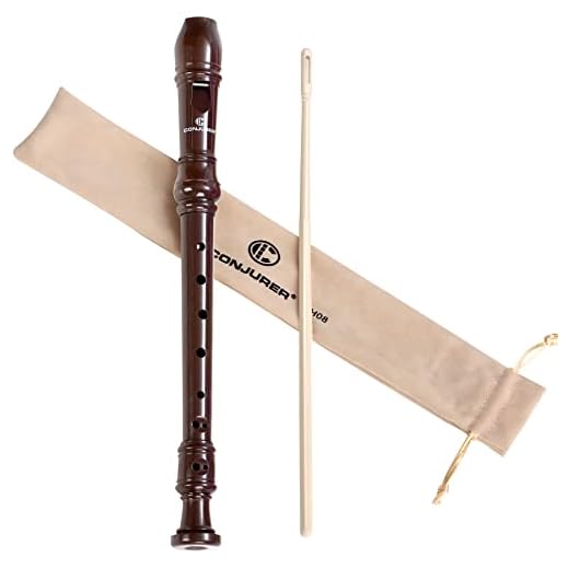 Soprano Recorder Instrument for Beginners Student - German Fingering 8 Hole Flute ABS Descant Recorders 3pcs Removable with Cleaning Rod and Storage Bag, Brown