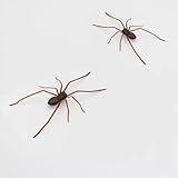 3D Spider Fridge Magnet, Realistic Spider Magnets, Cute Spiders Designs Decorations for Refrigerator, Garage Door, or Car, Removeable Indoor Outdoor Magnetic Decals (Brown)