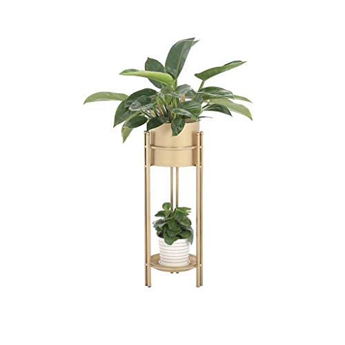 Madcg 2 Tier Flower Stand Metal Living Room Balcony Plant Pot Rack Shelf Planter Decoration Display Holder Floor Support Indoor Outdoor Bonsai Succulents Iron Art (Color Golden) (Size : S)