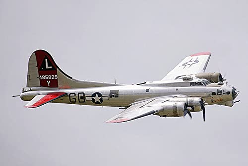 B-17 Flying Fortress Bomber 'Yankee Lady' 8x12 Photograph Photo Print