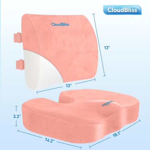 Image of CloudBliss Lumbar Support Pillow & Seat Cushion Set for Office Chair, Desk Chair, Wheelchair & Car - Memory Foam Back Support, Ergonomic Chair Cushions, Sciatica Pain Relief, Home Essentials, Pink