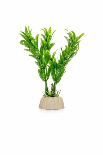 Plastik Akvaryum Bitkisi 10 cm