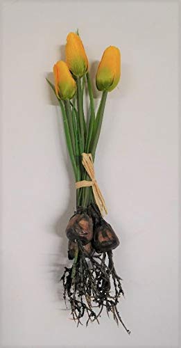 3 x Tulpe mit Zwiebel Frühling Seidenblume Kunstblume gelb 1116049-30 F64
