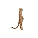 Papo -Hand-Painted - Figurine -Wild Animal Kingdom - Standing Meerkat -50206 -Collectible - for Children - Suitable for Boys and Girls- from 3 Years Old