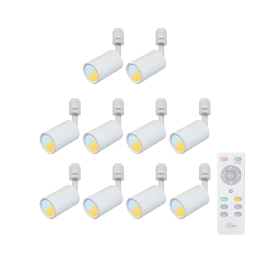 Allegro Lighting _Ng[ X|bgCg Ɩp _Ng[p CeBO[Ɩ Rt  100W` Ɩ V led F F F dF LED ̌^ [Cg _CjO