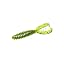 Watermelon Seed