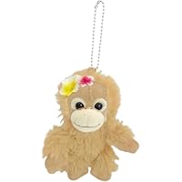 Amazon.co.jp: ナカジマコーポレーション ベイビーココ＆ナツ