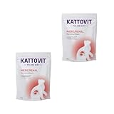Kattovit