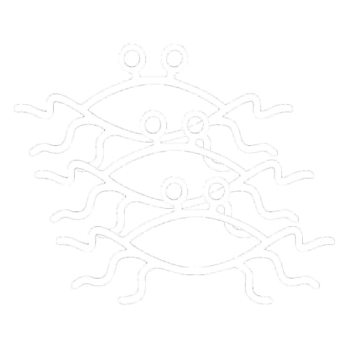 Image of EvolveFISH FSM Flying Spaghetti Monster Weatherproof Vinyl Decal - [White][5 inch] (Pack of 3)