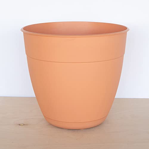 Bloem Dayton Planter With Saucer: 20" - Coral - 100% Recycled Plastic Pot, Removable Saucer, Elevated Feet, For Indoor And Outdoor Use, Gardening, 16.5 Gallon Capacity #TOP6