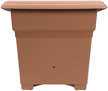 Miniatura 7 de EarthBox 81705 Kit de jardín, terracota