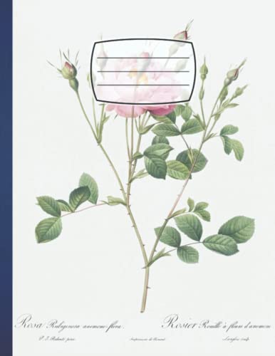 Composition Notebook: Anemone Flowered Sweetbria Awesome Wide Ruled 8.5x11 - 110 Pages Video Games Wide-Ruled Lines For kids, teens, students, and ... Video Game Lovers, cool book for writing in. image 2