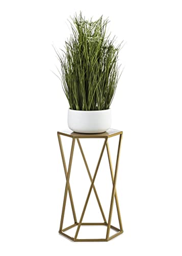 HowHomely Blumenständer aus Metall 40 cm Gold sechseckig modern handgefertigt Cover