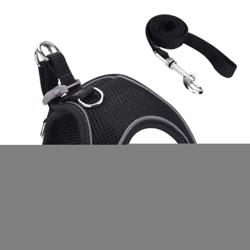 Mqyra sp Lp n[lX - \tgbVxXg ːSXgCvt | ^ ^ ^ ybg xXgJ[ oR Lv AEghAp