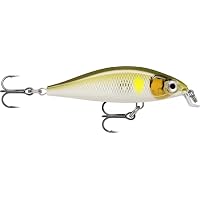 Rapala - Señuelo de Pesca X-Light Minnow, tamaño: 5 cm/4 g,